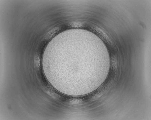 X0000115050549200911161550