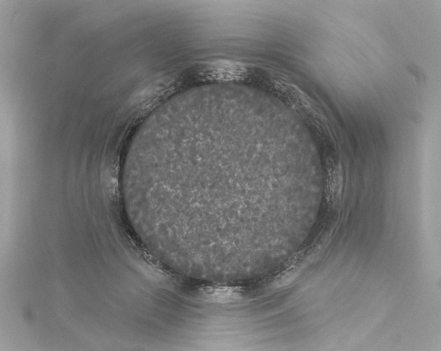 X0000115050553200911161550