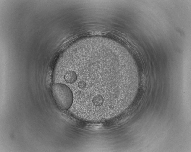 X0000115050554200911161550