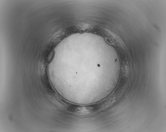 X0000115050558200911161550