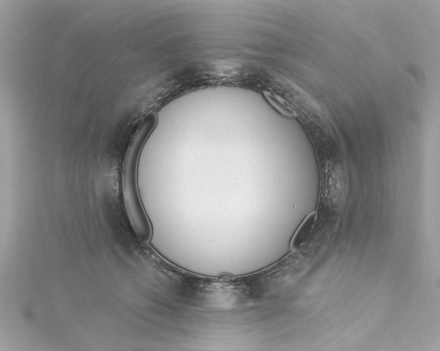 X0000115050562200911161550