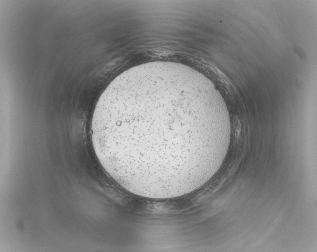 X0000115050565200911161550