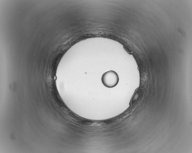 X0000115050566200911161550