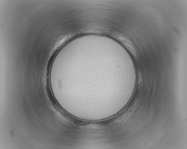 X0000115050578200911161549