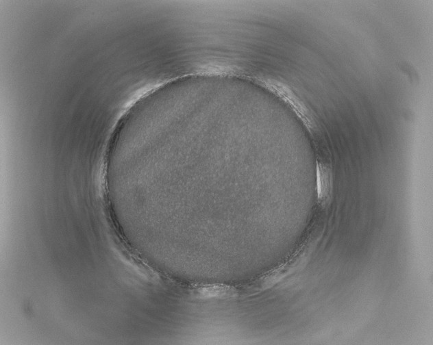 X0000115050579200911161549