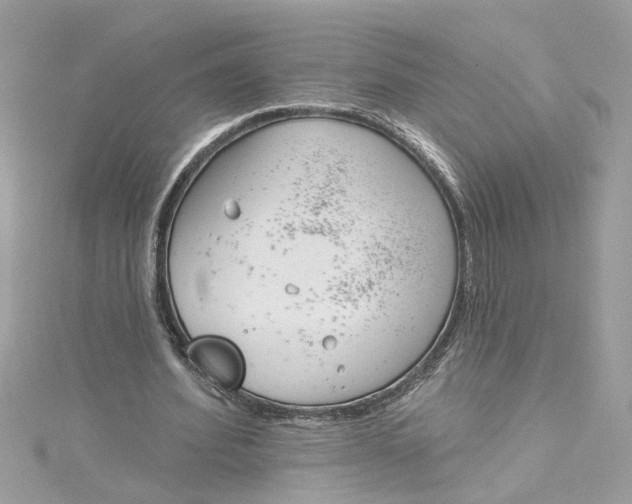 X0000115050580200911161549