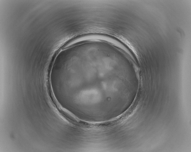 X0000115050581200911161549