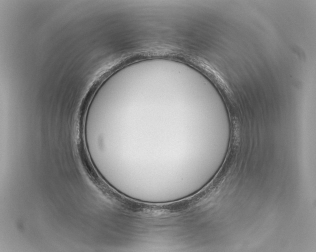 X0000115050582200911161549