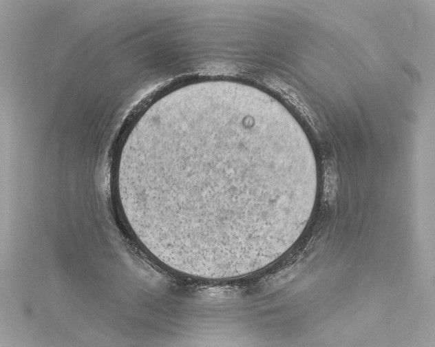 X0000115050584200911161549