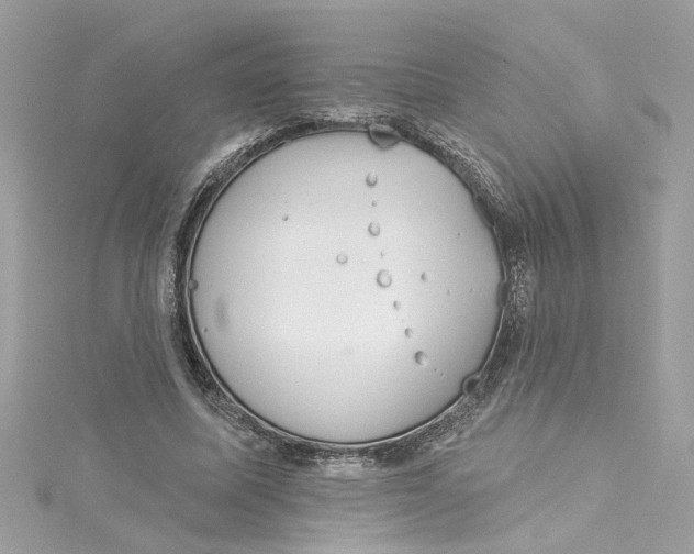 X0000115050587200911161549