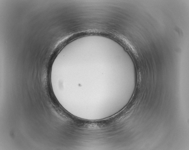 X0000115050588200911161549