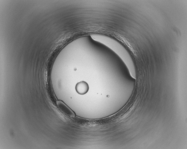 X0000115050589200911161549