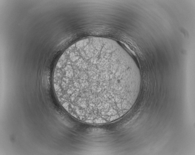 X0000115050590200911161549