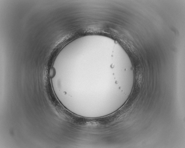 X0000115050591200911161549