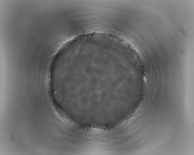 X0000115050592200911161549