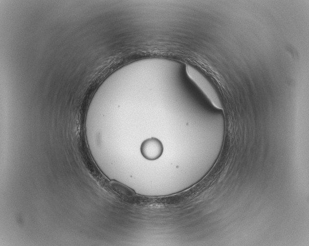 X0000115050593200911161549