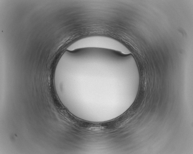 X0000115050595200911161549