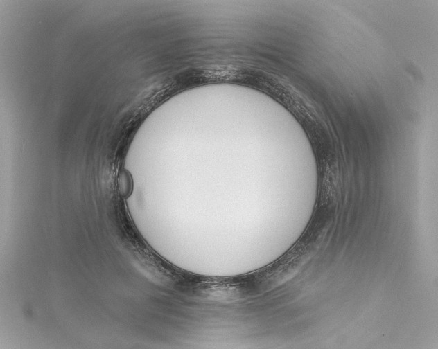 X0000115050601200911161549