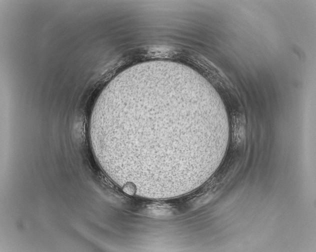 X0000115050603200911161549