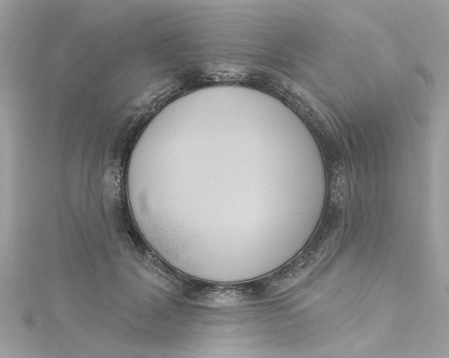 X0000115050604200911161549