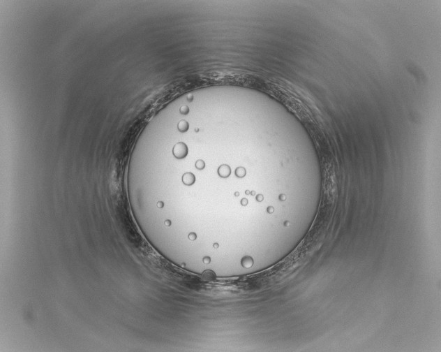 X0000115050607200911161549