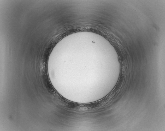 X0000115050608200911161549