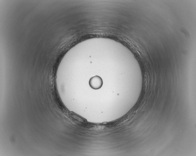 X0000115050609200911161549