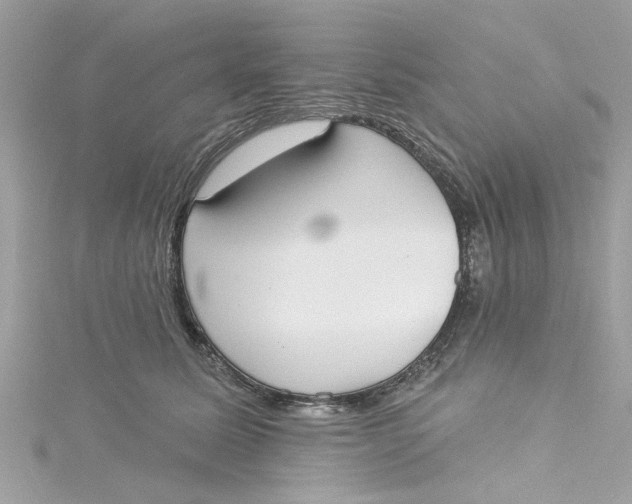 X0000115050611200911161549