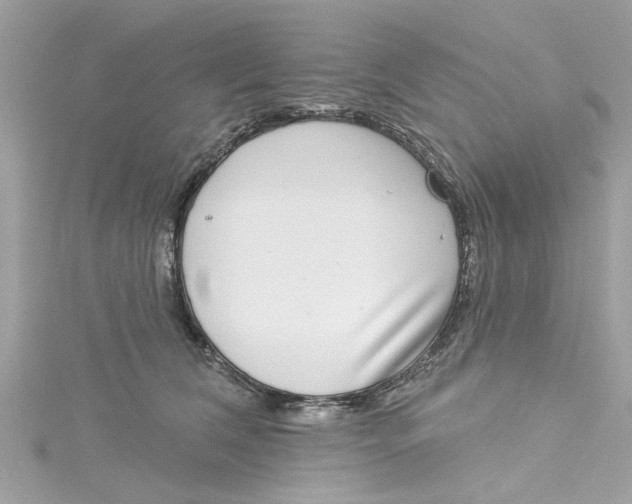 X0000115050612200911161549