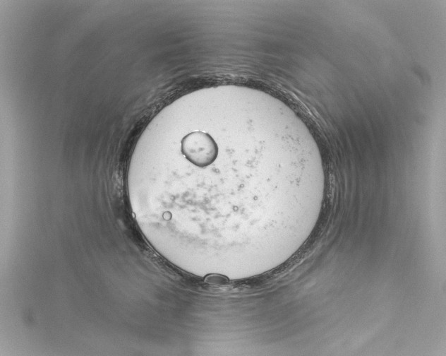 X0000115050613200911161549