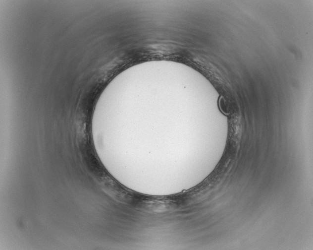 X0000115050615200911161549