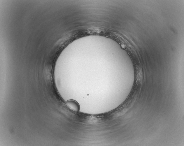 X0000115050616200911161549