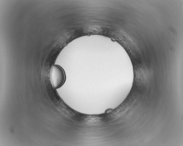 X0000115050617200911161549