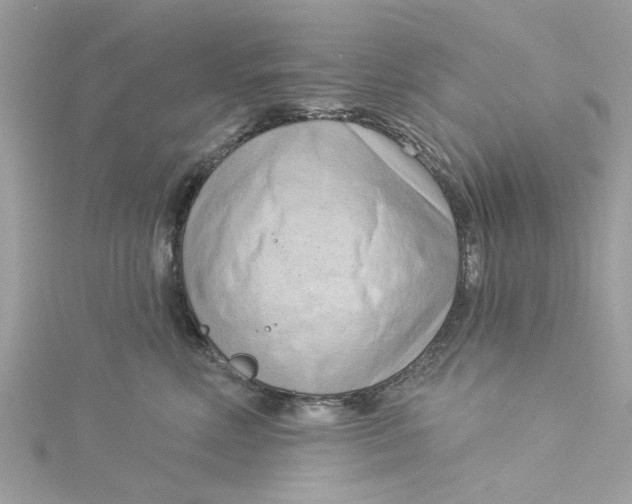 X0000115050618200911161549