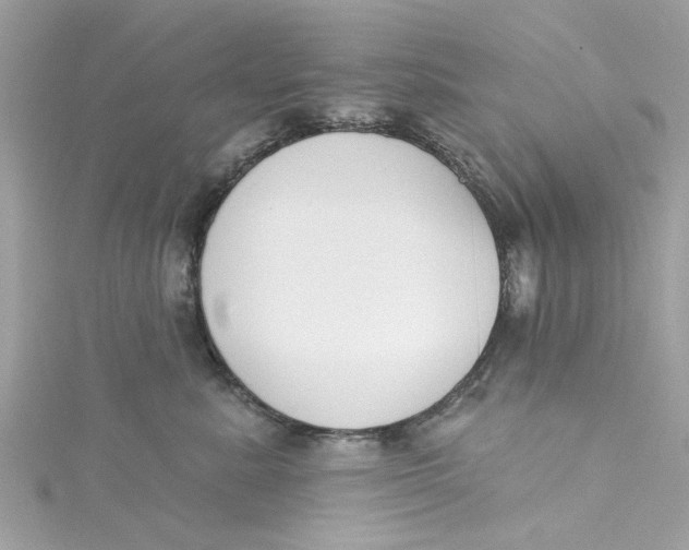 X0000115050619200911161549