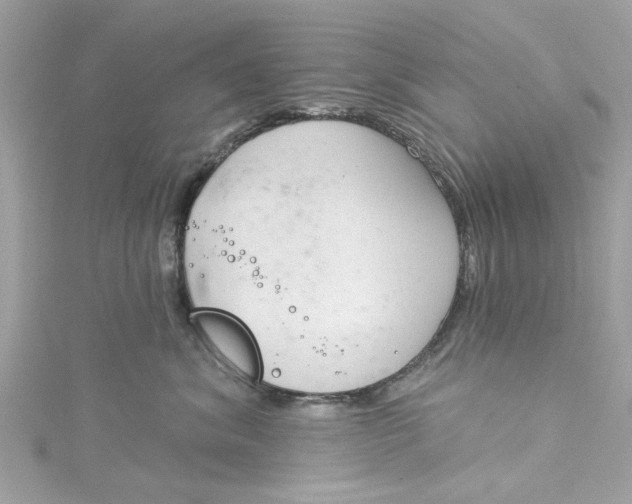 X0000115050620200911161549