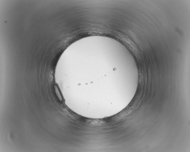 X0000115050621200911161549