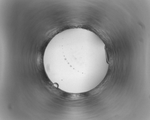 X0000115050623200911161549