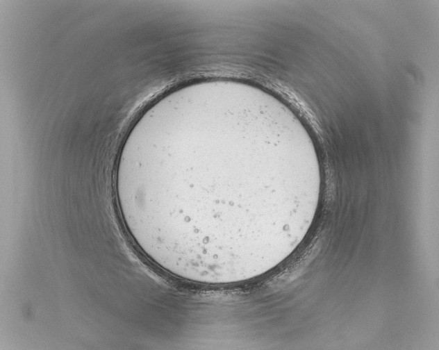 X0000115050625200911161548