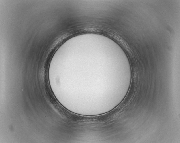 X0000115050626200911161548