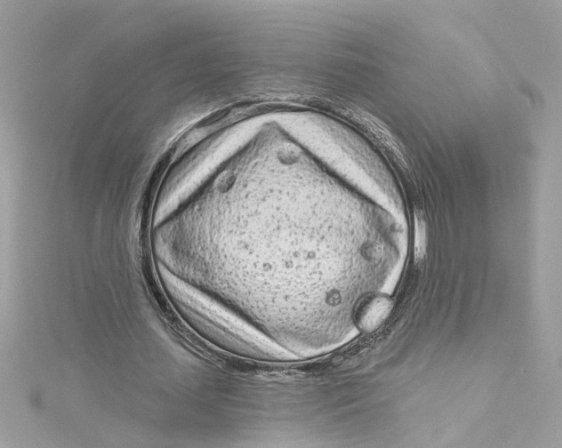 X0000115050627200911161548