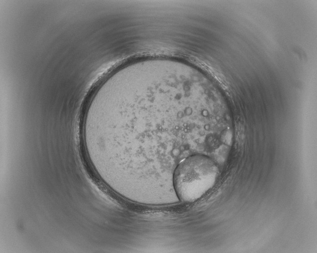 X0000115050629200911161548