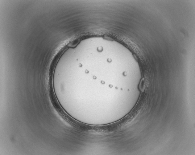 X0000115050630200911161548