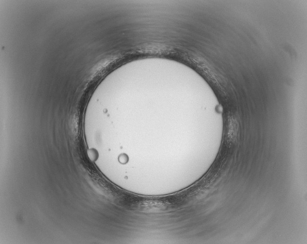 X0000115050636200911161548