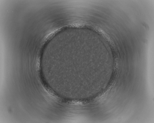 X0000115050640200911161548