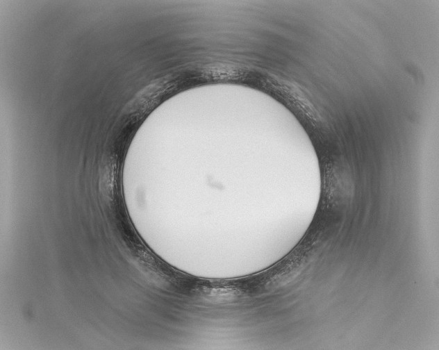 X0000115050645200911161549