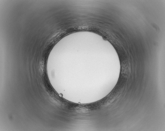 X0000115050648200911161549