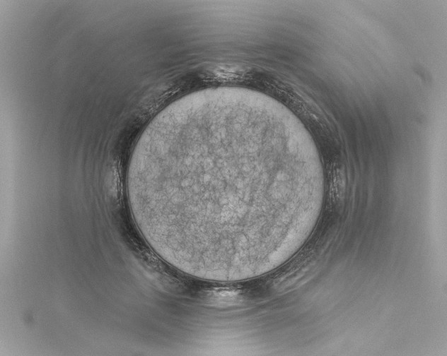 X0000115050651200911161549