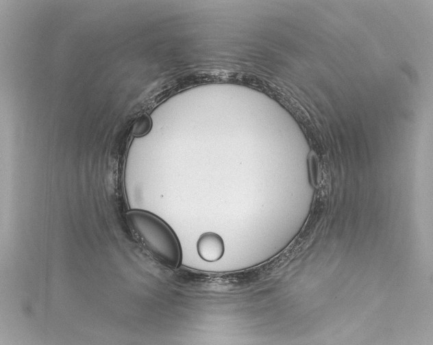 X0000115050656200911161549