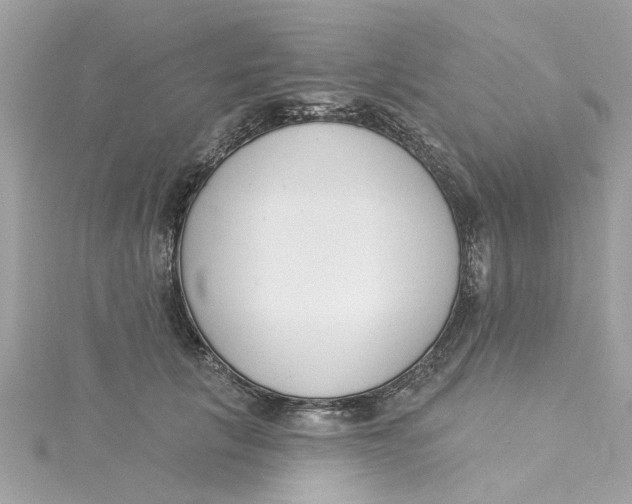 X0000115050657200911161549